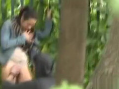 Leie, Blasen, Braunhaarige, Klassisch, Schwanz, Hundestellung, Natürlich, Im freien