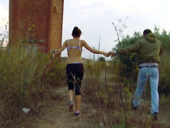 Tekintélyes didik, Gesztenyebarna, Ondó fröcskölés, Nyilvános