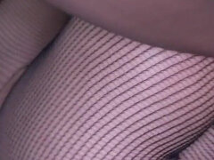 Kuřba, Puma, Roztomilá, Medzirasové, Krátke vlasy