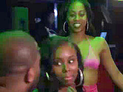 Čierne, Kuřba, Pár, Ebenové, Švédska rojka