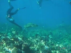 Amatéri, Pláž, Veľké péro, Striekanie semena, Hlboký orál, Footjob, Vyholené, Hračky