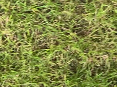 Amatoriale, Piede fetish, Solo