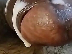 Amateur, Belle grosse femme bgf, Sucer une bite, Couple, Tir de sperme, Mature, Maman, Chevaucher