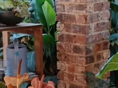 Amatőr, Gesztenyebarna, Ondó fröcskölés, Házi készítésű, Érett feleség, Szabadban, Hármas, Feleség