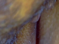 Leccata di culo, Prima volta, Hd, Indiana, Orgasmo, Figa, Stretta, Moglie