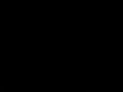 Брюнетки