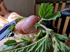Sadomasochismus, Grosser schwanz, Kompilation, Europäisch, Französisch, Schwul, Solo