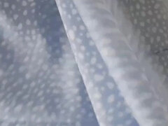 Μεγάλος πούτσος, Τραβεστί, Χύσιμο, Πόδια, Φετιχ, Τακούνια, Νάιλον, Καλσόν