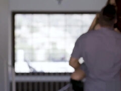 Gesztenyebarna, Klasszikus, Krémes süti, Ondó fröcskölés, Pénisz, Kézimunka, Hd, Begyek