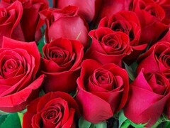 Anal, Stjärt mot mun, Stor stjärt, Par, Indisk, Mogen, Milf, Mamma