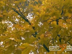 Amatör, Tysk, Hotell, Utomhus, Pov, Offentlig, Verklighet