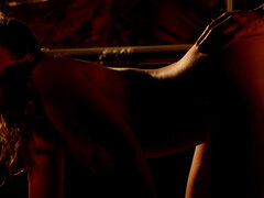 Schlafzimmer, Blasen, Süss, Hundestellung, Kleid, Lecken, Reif, Titten