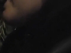 素人, ぽっちゃり, ブロンド, フェラチオ, 口内発射, 異人種間, アウトドア