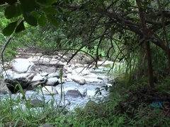 Avsugning, Bil, Sperma i munnen, Handjobb, Pov