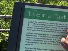 Amatööri, Aasialainen, Ranta, Sormetus, Tyttöystävä, Pikkarit, Näkökulma pov, Laiha