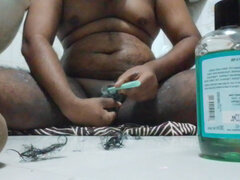 Banheiro, Peludoa, Feito em casa, Solo chão, Câmera de web webcam