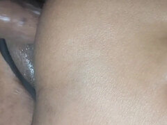 Anal, Stor rumpe, Par, Latina