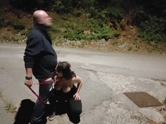 Bdsm, Dominans, Toalett, Tåget, Hora