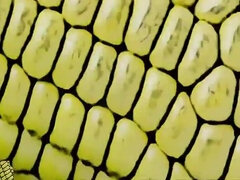 nineteen yr older beginner model does pornography for the first-ever time