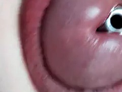 Bdsm, Európskej, Fetiš, Honění, Hardcore, Vloženie, Masturbácia, Švédskej