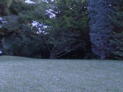 The young maid gets fucked by an unscrupulous gardener.