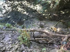 Grosse titten, Braunhaarige, Freundin, Piercing, Muschi, Rasiert, Tätowierung, Titten