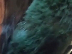 Amatööri, Iso perse, Suihinotto, Kokoelma, Pariskunta, Latinankieli, Äiti jota haluaisin panna, Vaimo