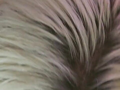 Любители, Толстушки, Минет, Пухленькие, Сперма на лице, Межрасовый секс, Голышом, От первого лица