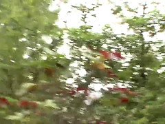 Cougar, Toccando, Lesbica, Mamma che vorrei scoparmi, Mamma, Figa, Matrigna, Ragazza