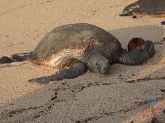 Blondína, Kuřba, Bábika, Nohy, Footjob, Priateľka, Honění, Kozičky