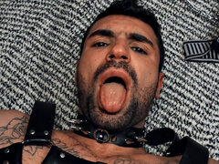 Hairy gay in leather harness barebacked in closeup video