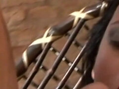 In den arsch, Grosse titten, Blasen, Paar, Spermaladung, Transfrau, Flotter dreier