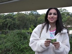 Amatéři, Kotě, Velké kozy, Venku, Různé pohledy, Na veřejnosti, Běhna