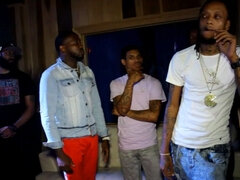 Tekintélyes didik, Gesztenyebarna, Ébenfekete, Ujjazás, Nyilvános