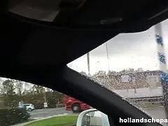 Amatør, Blond, Kukk suging, Par, Sperm skott, Hd, Naken, Skrikende
