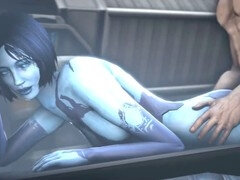 Hd videos, lospirditos, blend