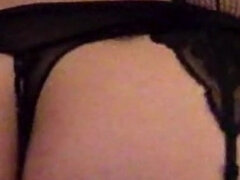 Amatör, Stor stjärt, Europeisk, Solo, Stockings