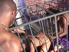 흑인, 오랄섹스, 흑갈색 머리, 에보니, 두여자와 한남자, 스타킹, 청소년, 쓰리섬