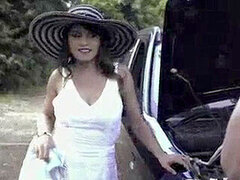 Brunetka, Striekanie semena, Európskej, Honění, Vyholené