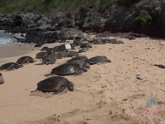 Amateur, Plage, Noire, Petite amie, Nue, Rasée, Fumer, Nénés