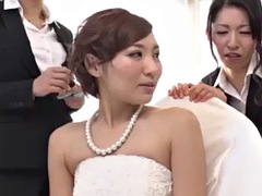 Nevěsta, Japonské, Dospělé