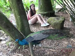 Amateur, Plage, Brunette brune, Exhib, De plein air, Pov, Rasée, Nénés