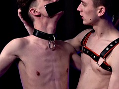 Tied up twinks hottie Tyler Tanner breeds horny tied up sub