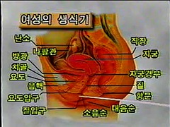 아시안, 아기, 머리카락이 많은, 한국인, 마사지, 수음, 젖가슴, 빈티지