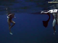 Sea adventures in Tenerife underwater