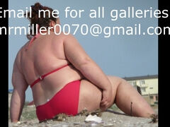 Supersized Big Beautiful Woman Queen Bikini Mix