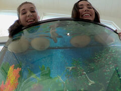 Busty girls Alex Chance and Karlee Grey wets their boobs in the aquarium