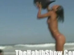 Orgy action with sublime doxy from The Habib Show