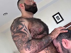 BEARFILMS Fat Bear Ivan Romanov Bred By Hairy Atlas Grant