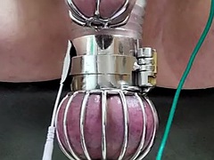 Locktober cum from cbt estim in chastity and ball cage